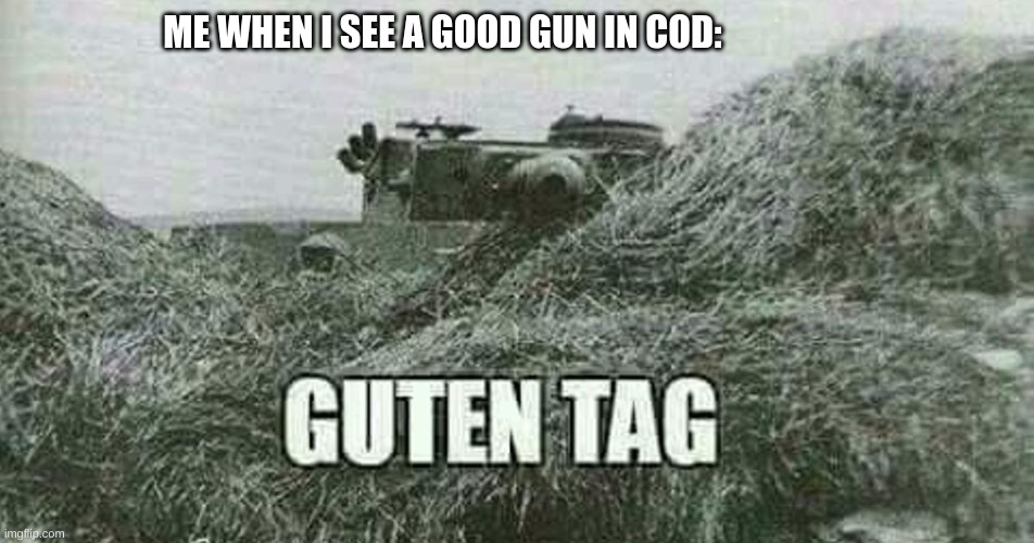 cod tank stuff | ME WHEN I SEE A GOOD GUN IN COD: | image tagged in german guten tag tiger | made w/ Imgflip meme maker
