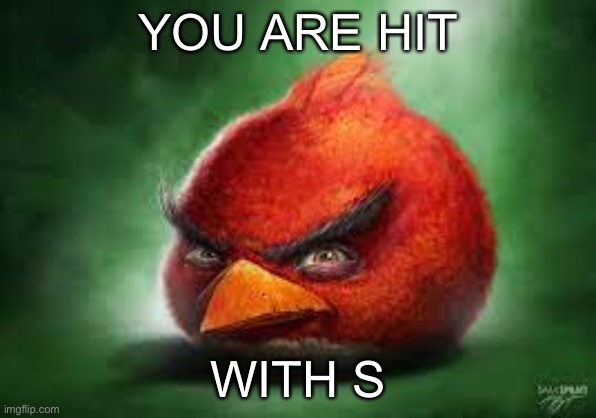 Realistic Red Angry Birds | YOU ARE HIT; WITH S | image tagged in realistic red angry birds | made w/ Imgflip meme maker