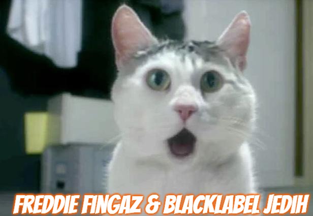 OMG Cat Meme | Freddie Fingaz & BlackLabel Jedih | image tagged in memes,omg cat,slavic | made w/ Imgflip meme maker