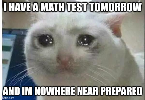 :'D | I HAVE A MATH TEST TOMORROW; AND IM NOWHERE NEAR PREPARED | image tagged in crying cat | made w/ Imgflip meme maker