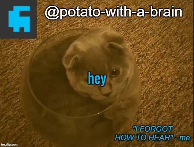 hey | image tagged in potato-with-a-brain announcement template thx jade_harley | made w/ Imgflip meme maker