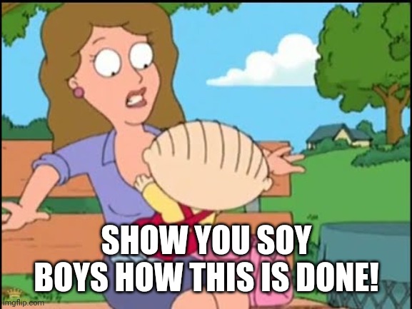 SHOW YOU SOY BOYS HOW THIS IS DONE! | made w/ Imgflip meme maker