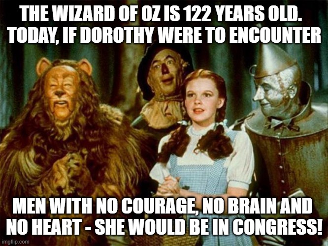 Wizard of oz | THE WIZARD OF OZ IS 122 YEARS OLD.  
TODAY, IF DOROTHY WERE TO ENCOUNTER; MEN WITH NO COURAGE, NO BRAIN AND 
NO HEART - SHE WOULD BE IN CONGRESS! | image tagged in wizard of oz | made w/ Imgflip meme maker