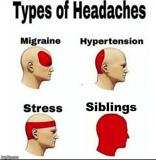 siblings | Siblings | image tagged in types of headaches meme | made w/ Imgflip meme maker