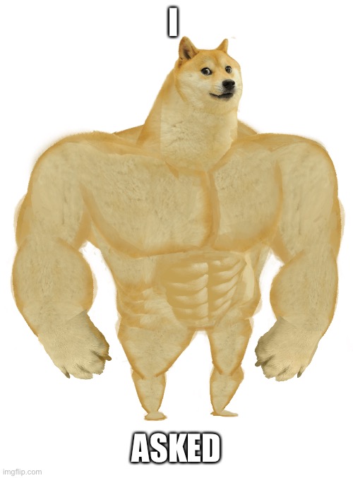 Swole Doge | I ASKED | image tagged in swole doge | made w/ Imgflip meme maker