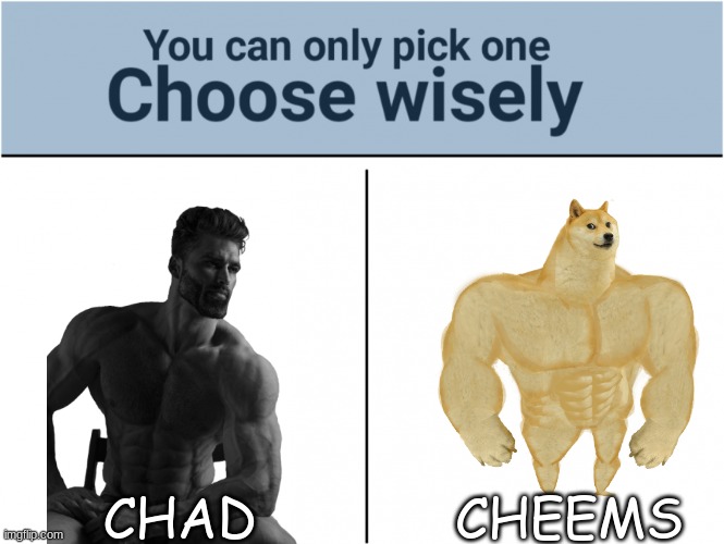 you can pick only one choose wisely | CHAD; CHEEMS | image tagged in you can pick only one choose wisely | made w/ Imgflip meme maker