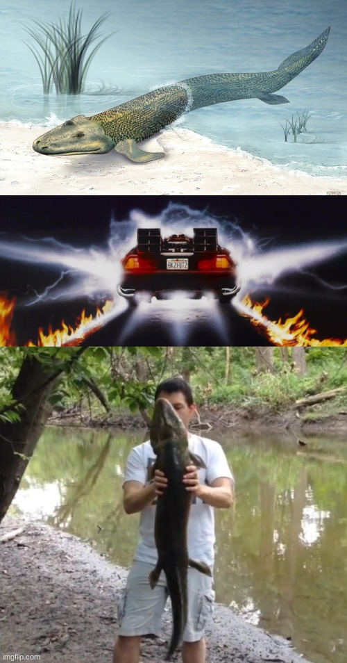 real | made w/ Imgflip meme maker