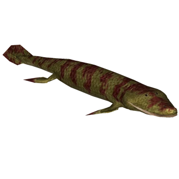 Tiktaalik Blank Meme Template