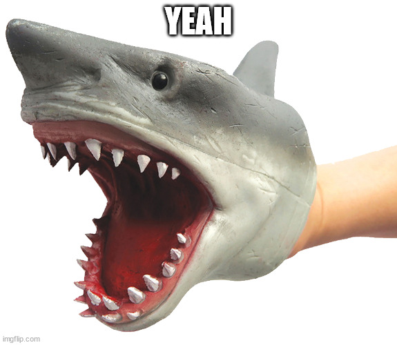 Shark Puppet | YEAH | image tagged in shark puppet | made w/ Imgflip meme maker