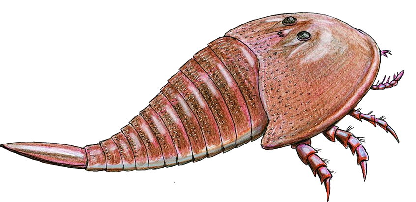 Hibberopterus Blank Meme Template