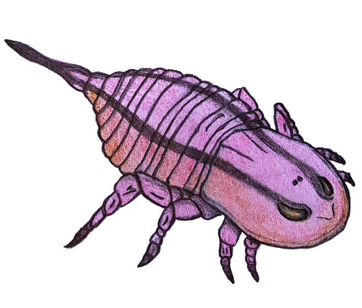 Brachyopterus Blank Meme Template