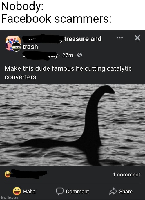 Nobody:
Facebook scammers: | image tagged in blank white template | made w/ Imgflip meme maker
