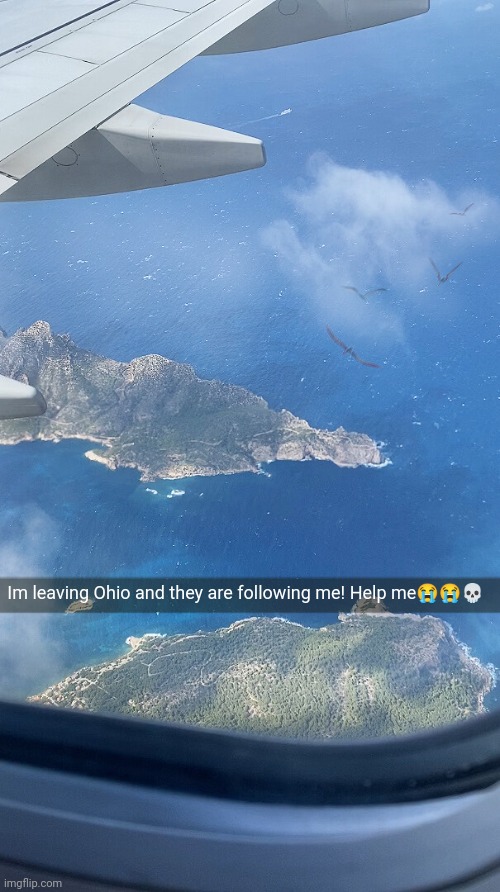 Oh noo they after me! | Im leaving Ohio and they are following me! Help me😭😭💀 | image tagged in ohio,dinosaur | made w/ Imgflip meme maker