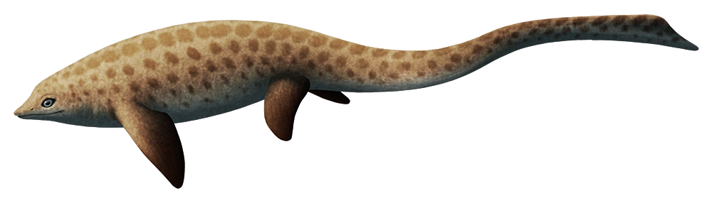 Sclerocormus Blank Meme Template