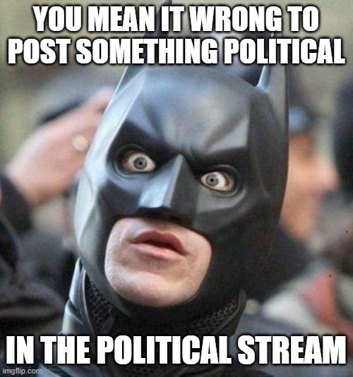 Someone is actually trying to argue with me about this. This is too funny to ignore. |  YOU MEAN IT WRONG TO POST SOMETHING POLITICAL; IN THE POLITICAL STREAM | image tagged in shocked batman | made w/ Imgflip meme maker