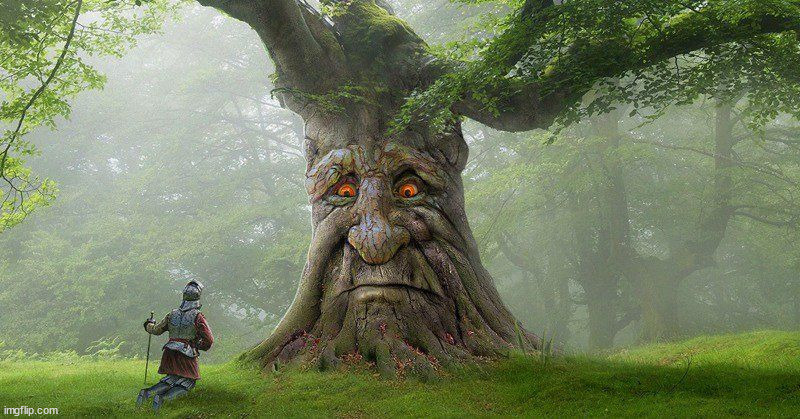 Wise mystical tree | image tagged in wise mystical tree | made w/ Imgflip meme maker
