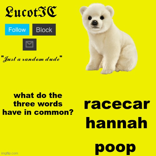 homework but its actually useful: | what do the three words have in common? racecar; hannah; poop | image tagged in lucotic polar bear announcement template | made w/ Imgflip meme maker