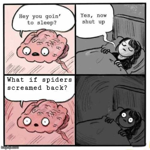 Burn it down | What if spiders screamed back? | image tagged in hey you going to sleep | made w/ Imgflip meme maker