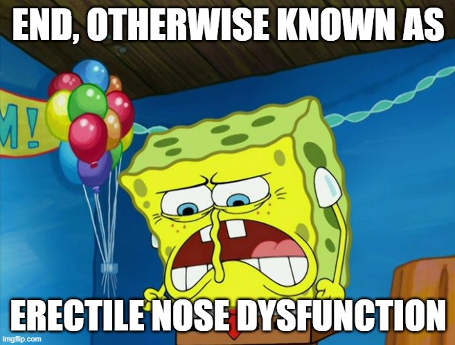 Sandy: Spongebob, are you sure you are ready? | END, OTHERWISE KNOWN AS; ERECTILE NOSE DYSFUNCTION | image tagged in dick,spongebob | made w/ Imgflip meme maker