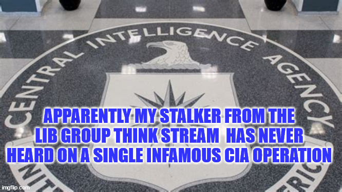 Libs think the CIA is squeaky clean... | APPARENTLY MY STALKER FROM THE LIB GROUP THINK STREAM  HAS NEVER HEARD ON A SINGLE INFAMOUS CIA OPERATION | image tagged in stupid liberals | made w/ Imgflip meme maker