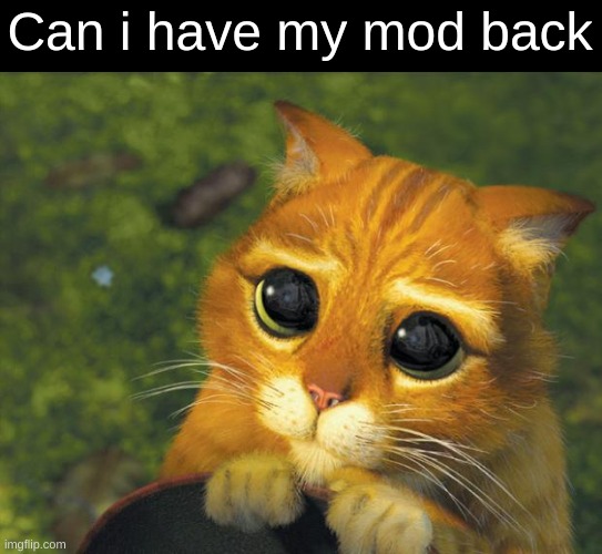 I swear approvals would go faster since i constantly check the "my streams" page | Can i have my mod back | image tagged in puss in boots | made w/ Imgflip meme maker
