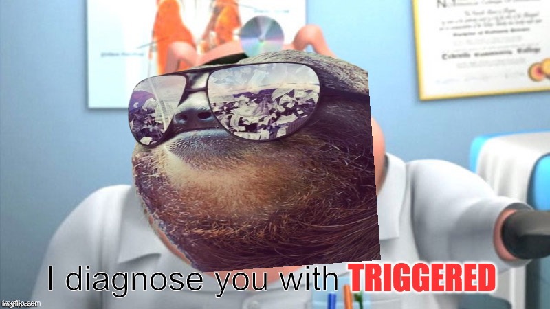 Sloth I diagnose you with triggered Blank Meme Template