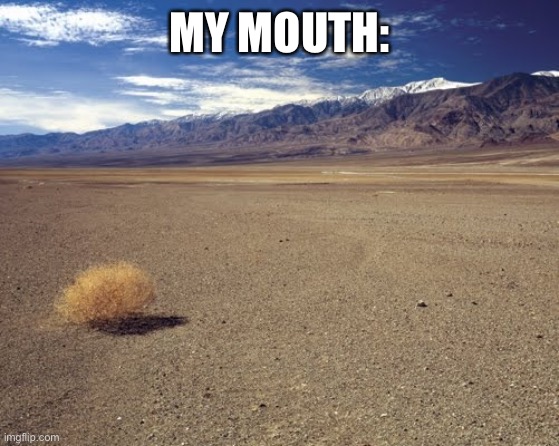 desert tumbleweed | MY MOUTH: | image tagged in desert tumbleweed | made w/ Imgflip meme maker