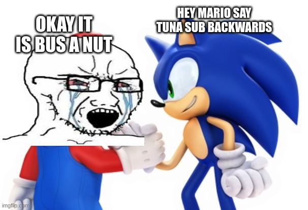 Mario and Sonic | OKAY IT IS BUS A NUT; HEY MARIO SAY TUNA SUB BACKWARDS | image tagged in mario and sonic | made w/ Imgflip meme maker