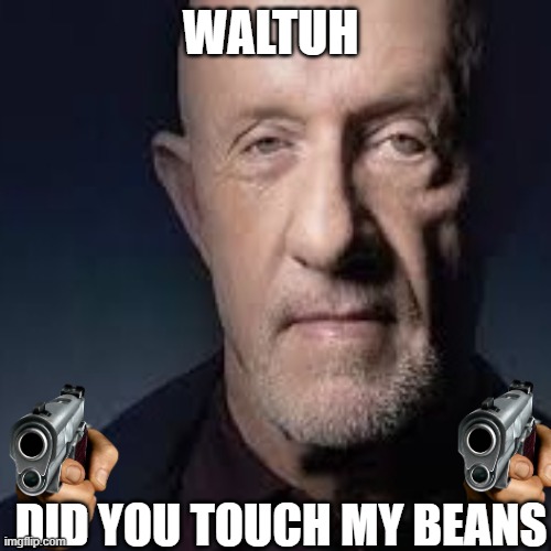 Mike Ehrmantraut | WALTUH; DID YOU TOUCH MY BEANS | image tagged in mike ehrmantraut | made w/ Imgflip meme maker