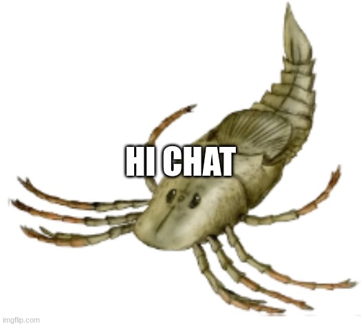 Megarachne | HI CHAT | image tagged in megarachne | made w/ Imgflip meme maker