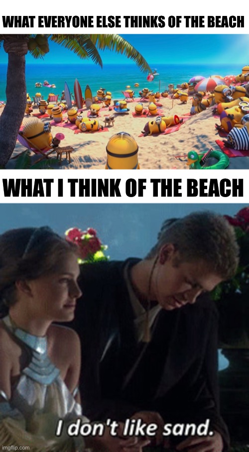 The beach is overrated |  WHAT EVERYONE ELSE THINKS OF THE BEACH; WHAT I THINK OF THE BEACH | image tagged in i hate sand,anakin,minions,beach,sand | made w/ Imgflip meme maker