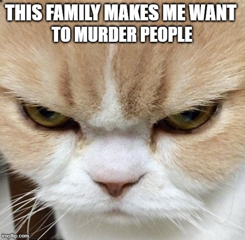 this family makes me want to murder people | THIS FAMILY MAKES ME WANT; TO MURDER PEOPLE | made w/ Imgflip meme maker