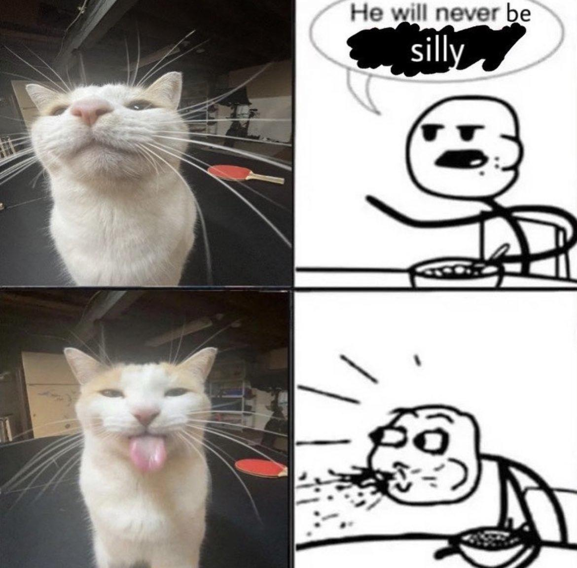 He will never be silly Blank Meme Template