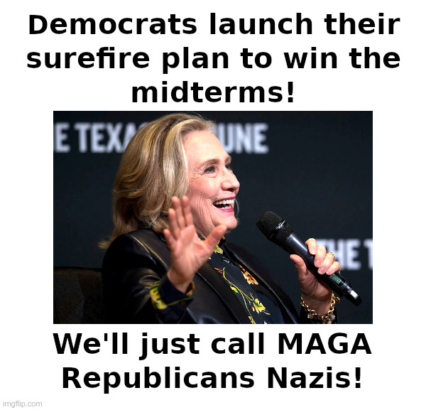 Democrats Launch Their Surefire Plan! | image tagged in democrats,hillary clinton,maga,republicans,deplorables,nazis | made w/ Imgflip meme maker