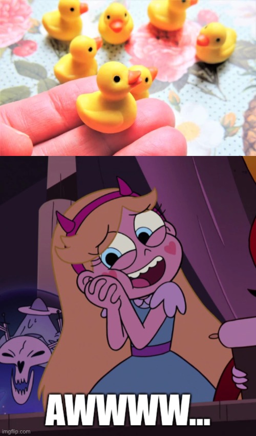 It’s so cute. | image tagged in star butterfly awwwww,memes,duck,star butterfly,rubber ducks,ducks | made w/ Imgflip meme maker