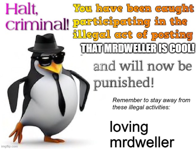 halt criminal! | THAT MRDWELLER IS COOL! loving mrdweller | image tagged in halt criminal | made w/ Imgflip meme maker