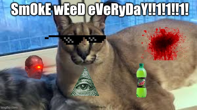Floppa | SmOkE wEeD eVeRyDaY!!1!1!!1! | image tagged in floppa | made w/ Imgflip meme maker
