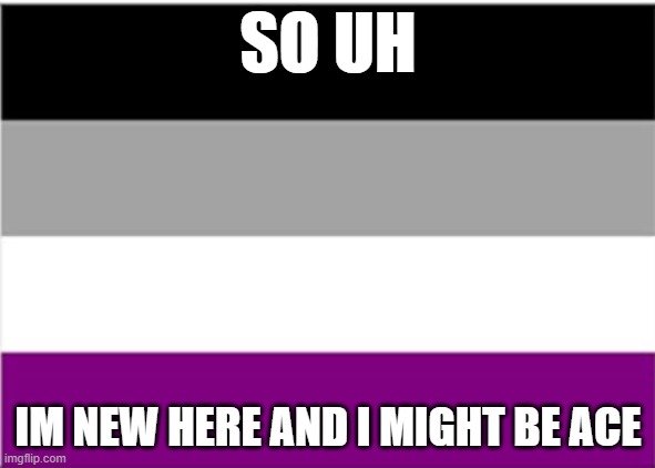 my friend thinks she's bi, idk much bout this stuff | SO UH; IM NEW HERE AND I MIGHT BE ACE | image tagged in asexual flag | made w/ Imgflip meme maker
