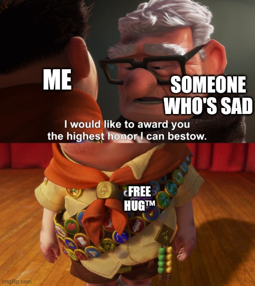 Highest Honor | ME; SOMEONE WHO'S SAD; FREE HUG™️ | image tagged in highest honor | made w/ Imgflip meme maker
