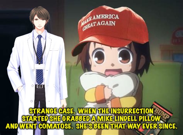 A difficult case | STRANGE CASE.  WHEN THE INSURRECTION STARTED SHE GRABBED A MIKE LINDELL PILLOW AND WENT COMATOSE.  SHE'S BEEN THAT WAY EVER SINCE. | image tagged in maga anime | made w/ Imgflip meme maker