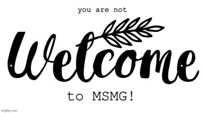 The sign new users see when joining MSMG | made w/ Imgflip meme maker