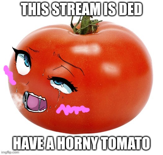 tomatussy | THIS STREAM IS DED; HAVE A HORNY TOMATO | image tagged in tomatussy | made w/ Imgflip meme maker