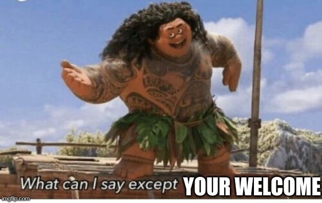 Moana maui what can I say except blank | YOUR WELCOME | image tagged in moana maui what can i say except blank | made w/ Imgflip meme maker