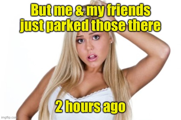 Dumb Blonde | But me & my friends just parked those there 2 hours ago | image tagged in dumb blonde | made w/ Imgflip meme maker
