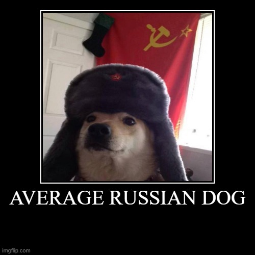 AVERAGE RUSSIAN DOG | | image tagged in funny,demotivationals | made w/ Imgflip demotivational maker