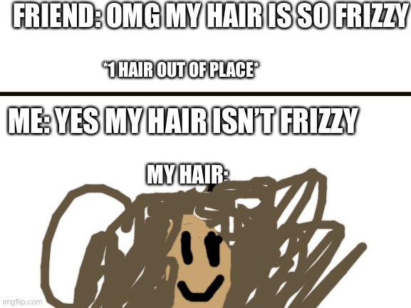 I’m the best drawer | FRIEND: OMG MY HAIR IS SO FRIZZY; *1 HAIR OUT OF PLACE*; ME: YES MY HAIR ISN’T FRIZZY; MY HAIR: | image tagged in blank white template | made w/ Imgflip meme maker