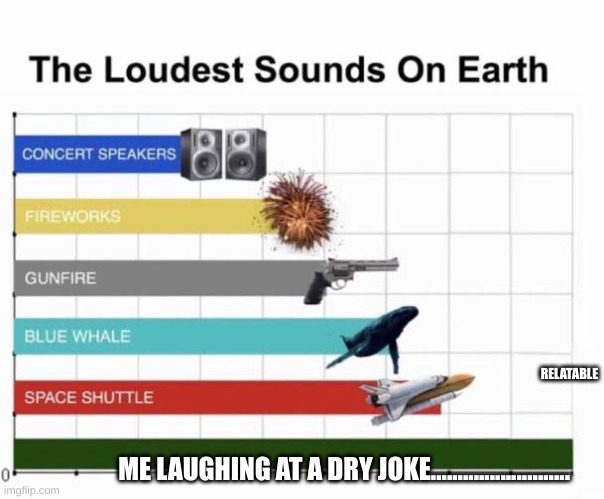 The Loudest Sounds on Earth | RELATABLE; ME LAUGHING AT A DRY JOKE.......................... | image tagged in the loudest sounds on earth | made w/ Imgflip meme maker