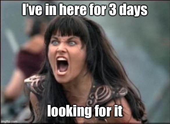 Angry Xena | I’ve in here for 3 days looking for it | image tagged in angry xena | made w/ Imgflip meme maker