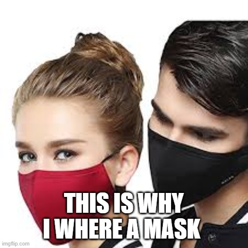 Mask Couple | THIS IS WHY I WHERE A MASK | image tagged in mask couple | made w/ Imgflip meme maker