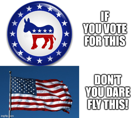 Demonrats Are Evil | IF YOU VOTE FOR THIS; DON'T YOU DARE FLY THIS! | image tagged in dnc,us flag | made w/ Imgflip meme maker
